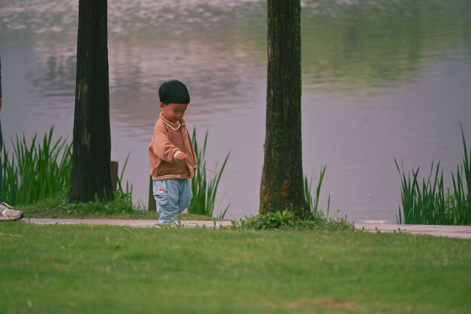 临安 · 看世界的热闹